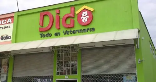 DIDO CAJICA BOGOTÁ DIDO CAJICA BOGOTÁ